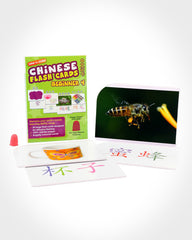 WINK to LEARN Chinese Flash Cards - Beginner 4